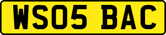 WS05BAC