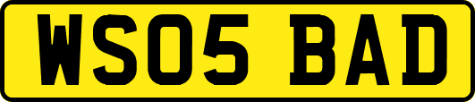 WS05BAD