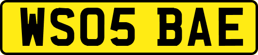 WS05BAE