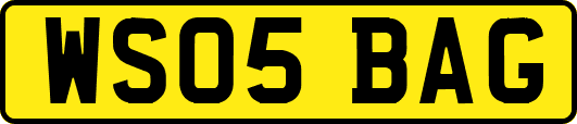 WS05BAG