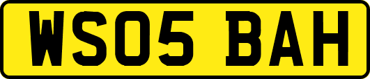 WS05BAH