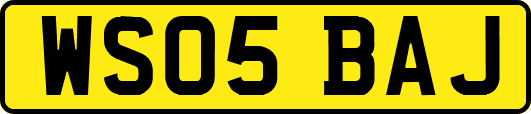 WS05BAJ