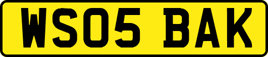 WS05BAK