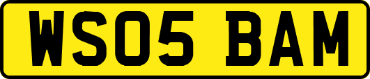 WS05BAM