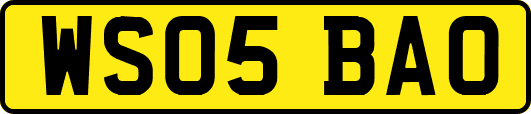 WS05BAO