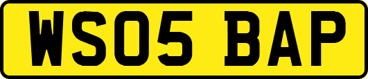 WS05BAP