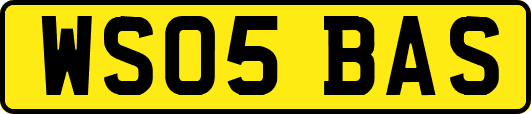 WS05BAS