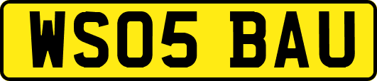 WS05BAU
