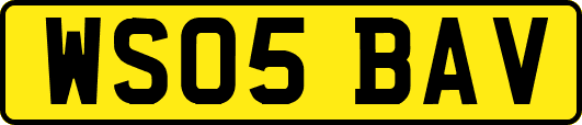 WS05BAV