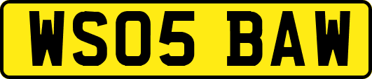 WS05BAW