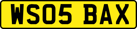 WS05BAX
