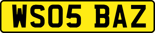 WS05BAZ