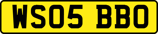 WS05BBO