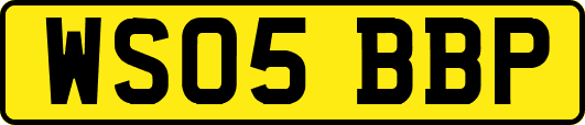 WS05BBP