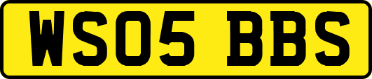 WS05BBS
