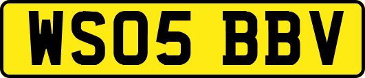 WS05BBV