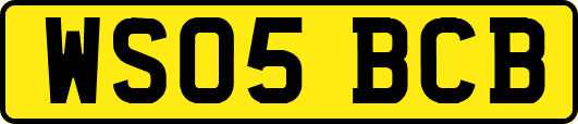 WS05BCB