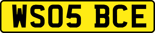 WS05BCE