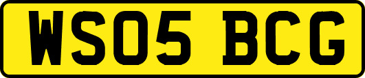 WS05BCG
