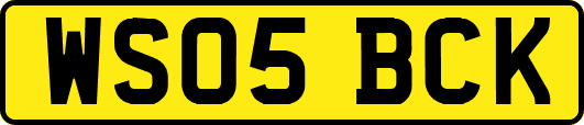 WS05BCK