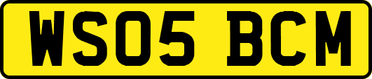 WS05BCM