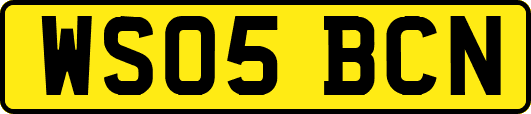 WS05BCN