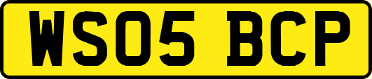WS05BCP