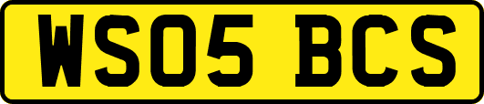 WS05BCS