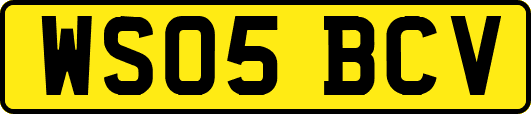 WS05BCV