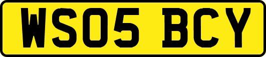 WS05BCY