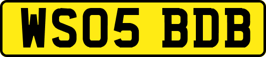 WS05BDB