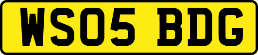 WS05BDG