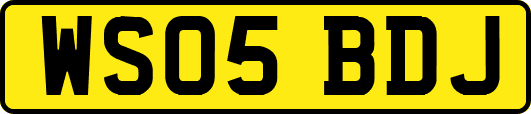 WS05BDJ
