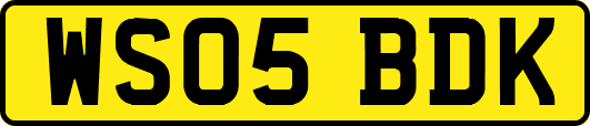 WS05BDK