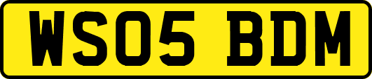 WS05BDM