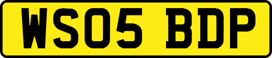 WS05BDP