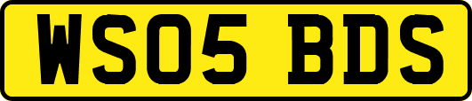 WS05BDS