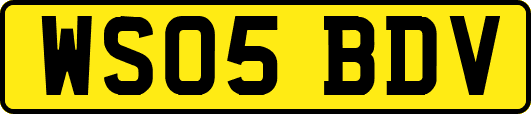 WS05BDV