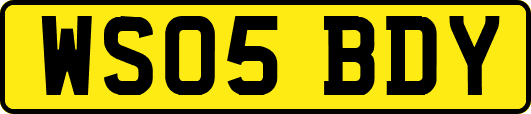 WS05BDY