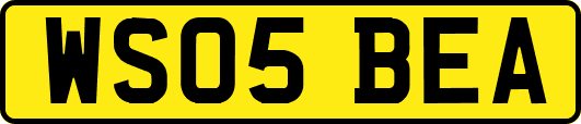 WS05BEA