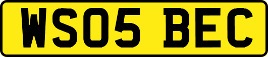 WS05BEC