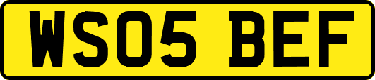 WS05BEF