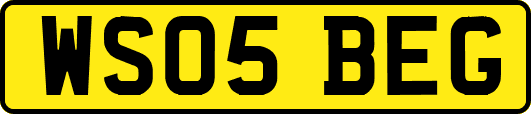 WS05BEG