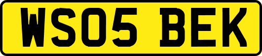 WS05BEK