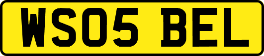 WS05BEL