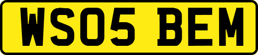 WS05BEM