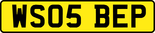 WS05BEP