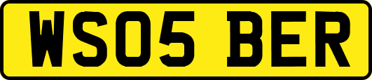 WS05BER