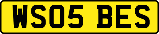 WS05BES