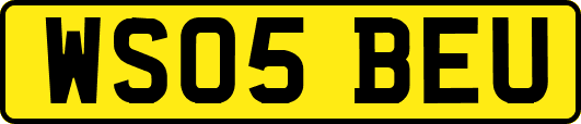 WS05BEU